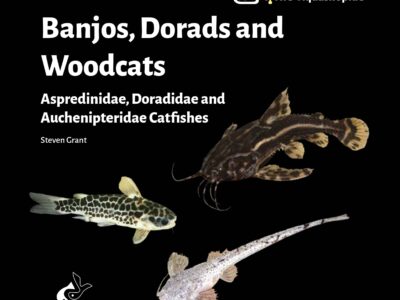Banjos, Dorads and Woodcats – Aspredinidae, Doradidae and Auchenipteridae Catfishes