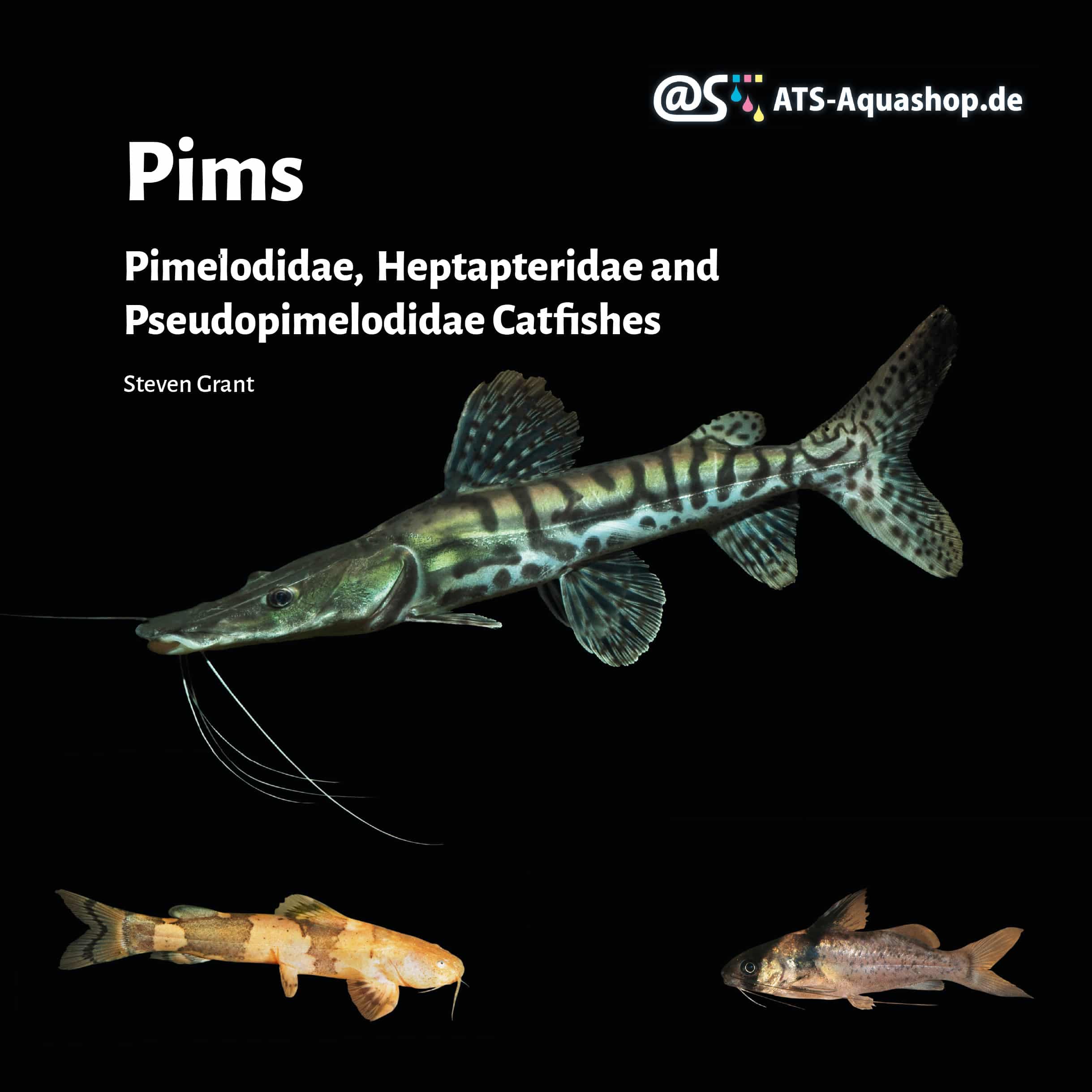Pims Pimelodidae, Heptapteridae and Pseudopimelodidae Catfishes