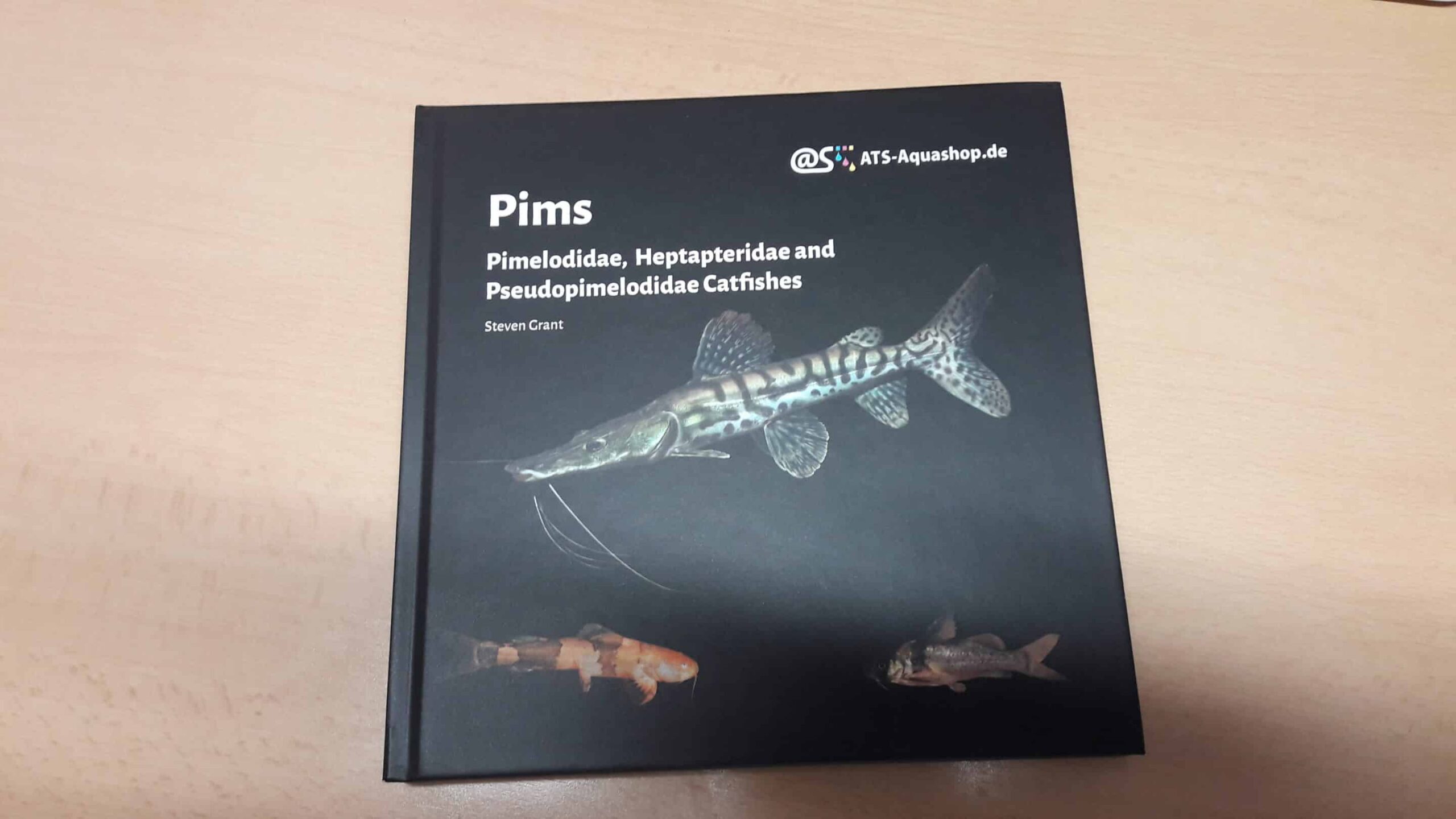 Pims - Pimelodidae,  Heptapteridae and  Pseudopimelodidae Catfishes / Steven Grant