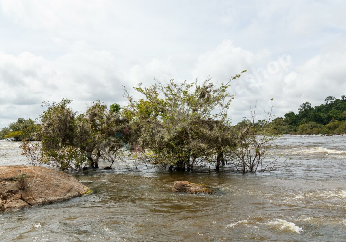 Kunstdrucke: Rio Xingu "Cachoeira do Jericoá"
