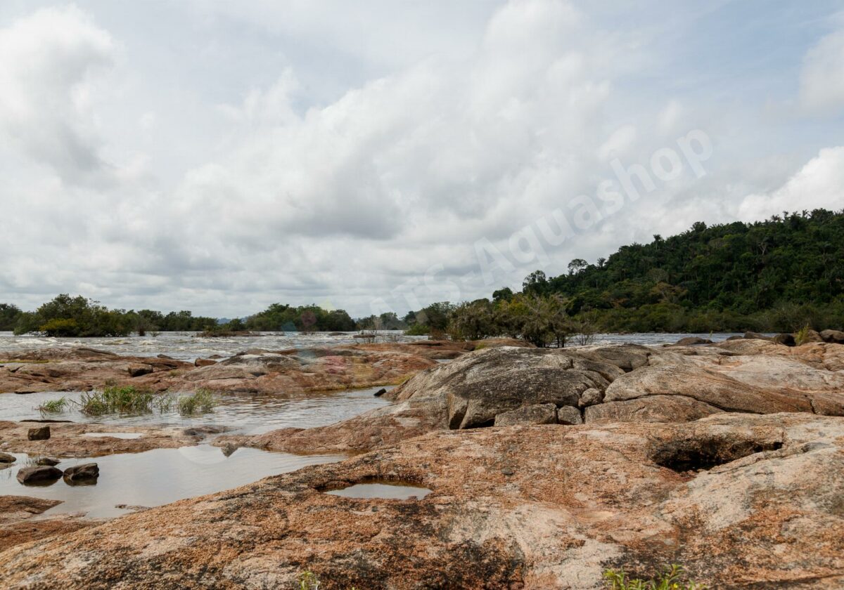 Kunstdrucke: Rio Xingu "Cachoeira do Jericoá"