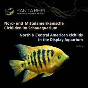 Cover: North and Central American cichlids in display aquariums